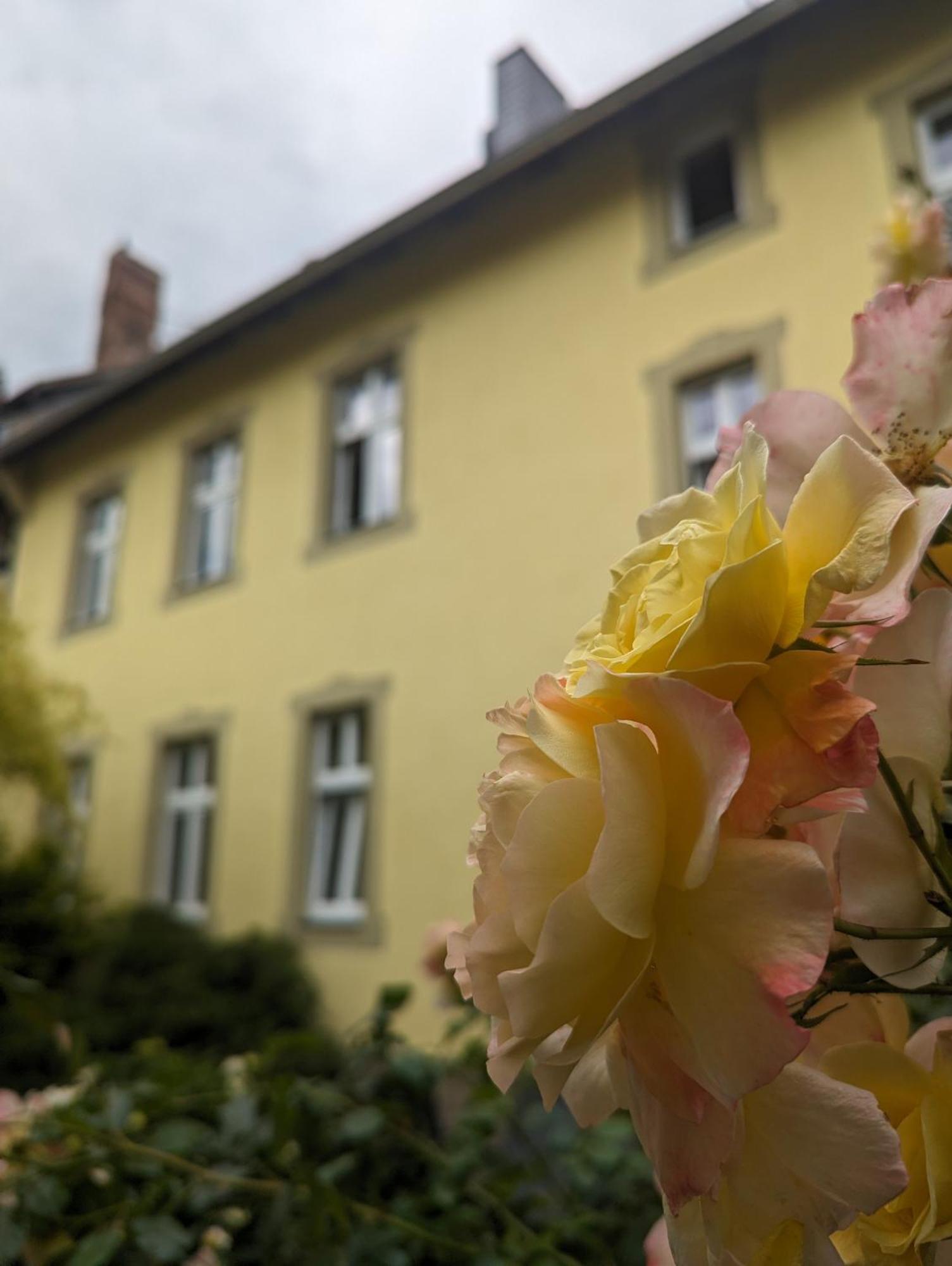 Atelier Wolkenschloss Wernigerode Exterior foto